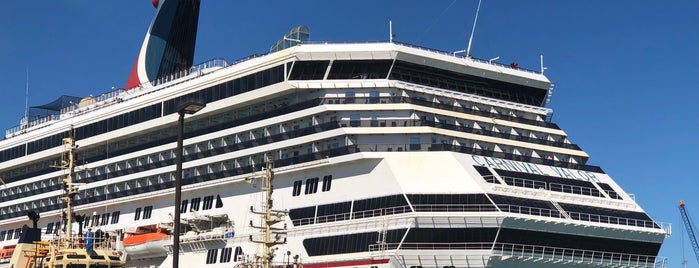 Terminal de Cruceros is one of Kapt’n Kokoさんのお気に入りスポット.