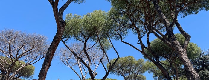 Parco del Colle Oppio is one of Roma.