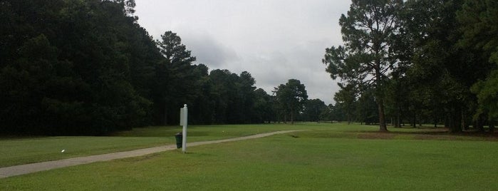 Pine Burr Golf is one of On the Green.
