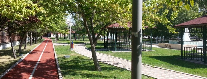 yürüyüş parkuru is one of Locais salvos de Asena.