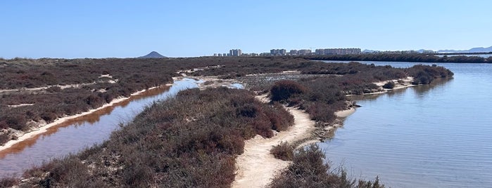 Playa de La Llana is one of torr.