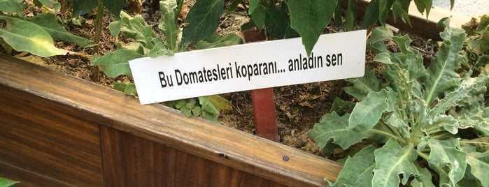 Akın Reklam is one of Tempat yang Disukai Tahsin.