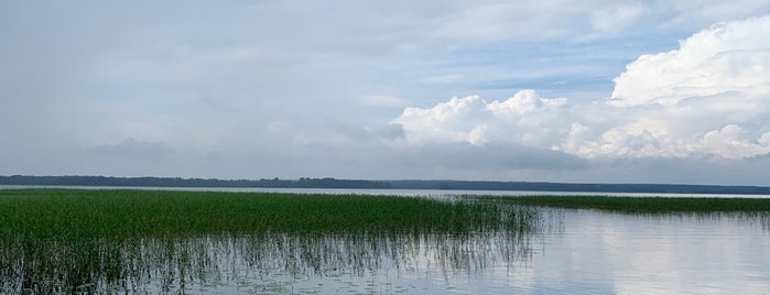 Озеро Отрадное is one of Съездить.