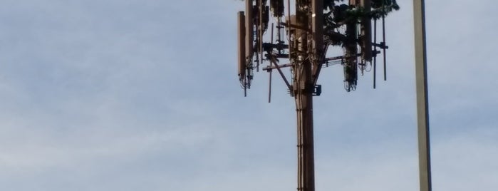 Tree Cell Tower is one of Tempat yang Disukai Chester.