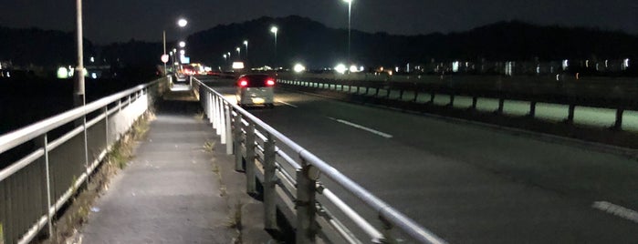 静清バイパス 安倍川大橋 is one of 静清バイパス - 静岡市区間.