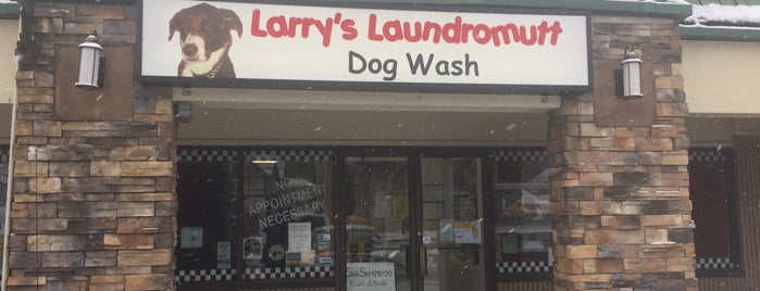 Larry's laundromutt is one of Sewickley Valley Chamber of Commerce Members.