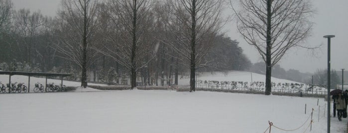 早稲田大学 95号館 本庄高等学院新校舎 is one of 早稲田大学.