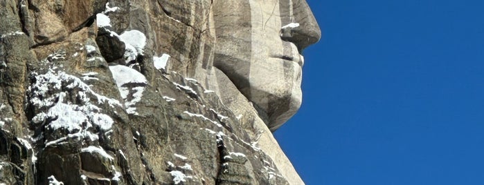 George Washington Profile View is one of Places of interest to Montana.