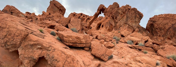 Elephant Rock is one of Las Vegas.