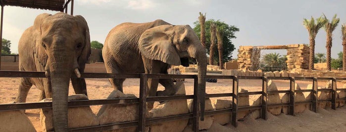 Riyadh Zoo is one of Lieux qui ont plu à -.