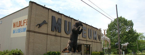 Touchstone Wildlife & Art Museum is one of Weird Shreveport.