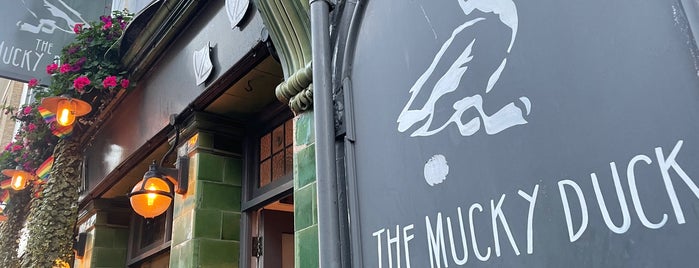 The Mucky Duck is one of Merchants.