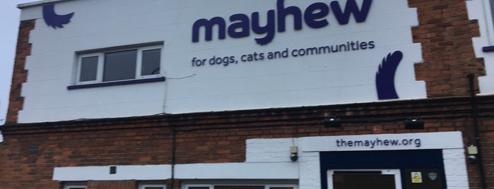 The Mayhew Animal Home is one of Charity HQs.