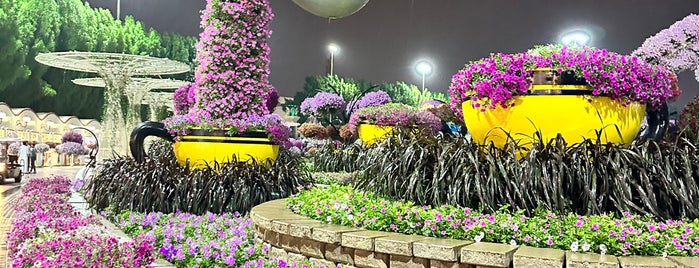 Dubai Miracle Garden is one of Lieux sauvegardés par Ceylan.