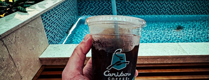 Caribou Coffee is one of Sharq.kw.