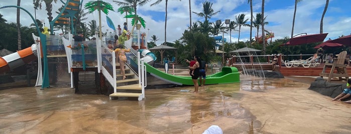 Wet'n'Wild Hawaii is one of モヤさま ハワイ編.