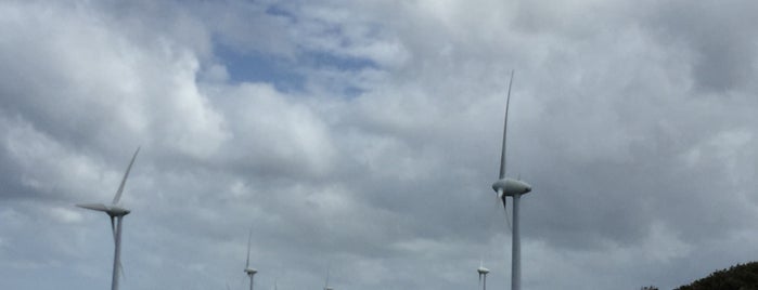 Albany Wind Farm is one of Orte, die NeMeSiS gefallen.