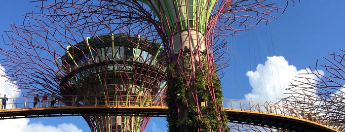 Gardens by the Bay is one of Bucketlist.