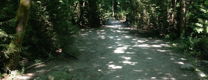 Mosquito Creek Trail is one of Outdoors.