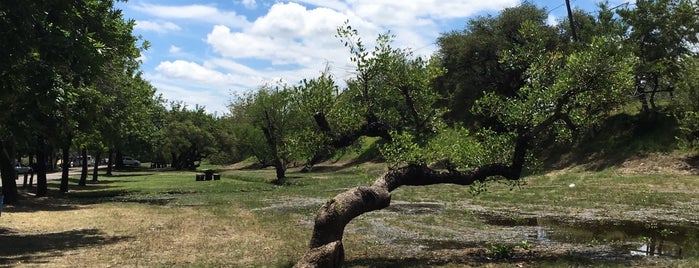 Parque Unzue is one of Playas y Naturaleza (Entre Ríos).