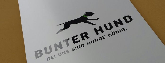 Bunter Hund is one of Vienna-to-do.