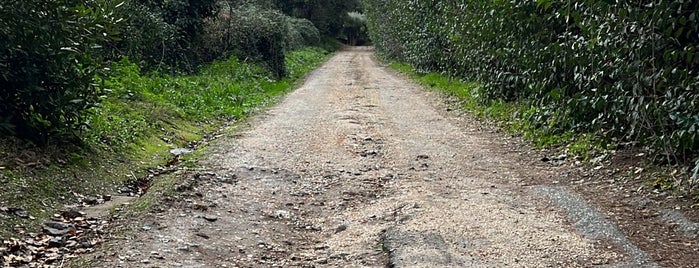 Cavalieri dell'Appia Antica is one of Take a walk in Rome.