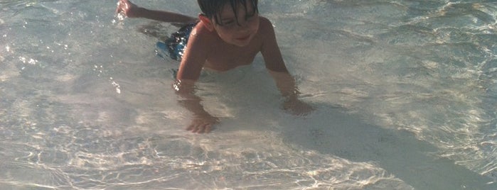 Edina Aquatic Center is one of Locais curtidos por Fotoloco.