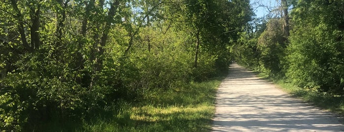 Biking Illinois