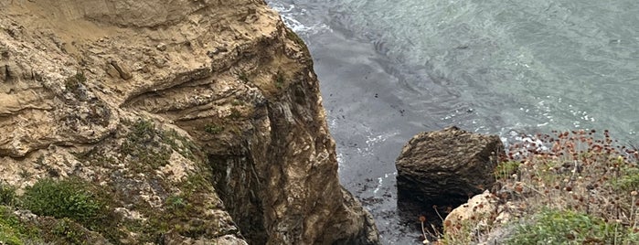 Cowell Ranch Beach & Trailhead is one of HWY1: SF to Davenport.