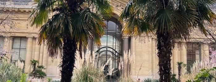 Jardin du Petit Palais is one of Locais curtidos por Tristan.