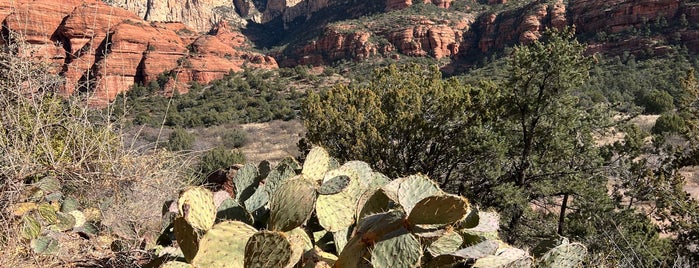 Palatki Ruins is one of Süd-Arizona / USA.
