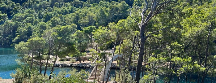 Nacionalni park Mljet is one of Glendaさんのお気に入りスポット.