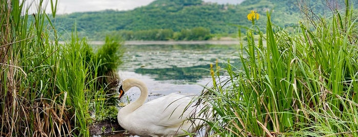 Lago Di Fimon is one of Turismo Rurale nel Vicentino.