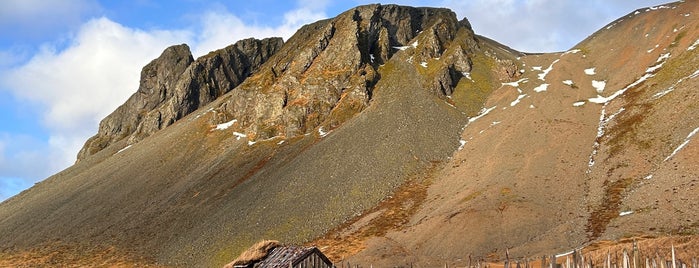 Viking Village is one of Iceland.