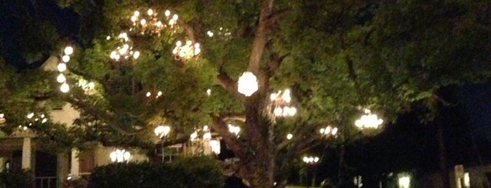 Chandelier Tree is one of Chrisさんのお気に入りスポット.