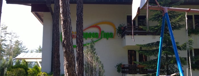 Хотел Борова гора is one of Yoanaさんの保存済みスポット.