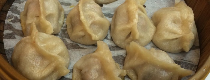 Yummy Yummy Dumpling 口口香餃子館 is one of Irina’s Liked Places.