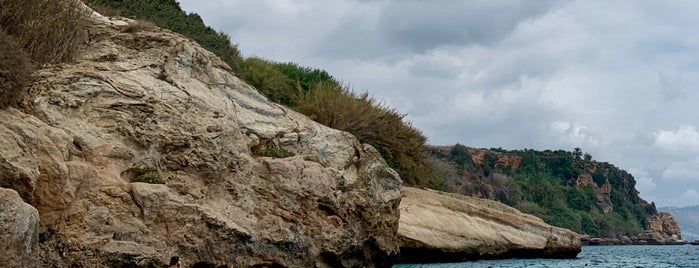 Playa Burriana is one of anthony : понравившиеся места.