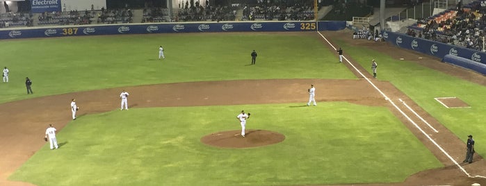 Estadio de Béisbol Hermanos Serdán is one of Estadios LMB.