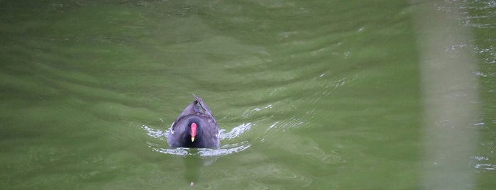 Blessington Park is one of Dublin.