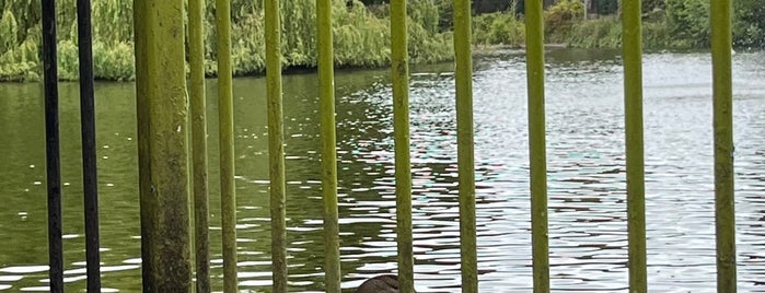 Blessington Park is one of Lieux qui ont plu à Lutzka.