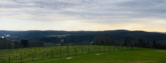 Seminary Hill Cidery is one of Around Narrowsburg.