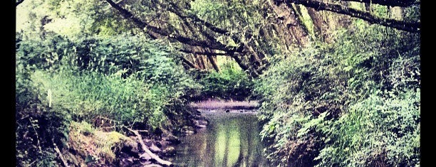 The River Trail is one of FamilyFun's Olympic National Park, WA.