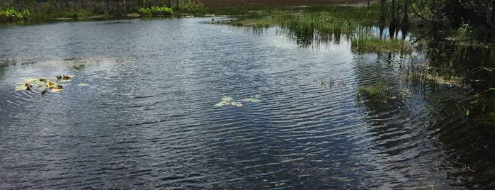 Cypress Boardwalk is one of West Palm.