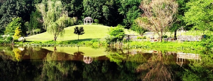 Meadowlark Botanical Gardens is one of Locais salvos de Allison.