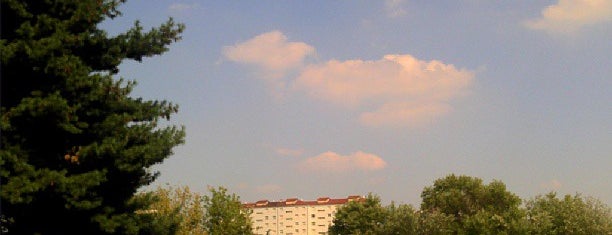 Parco Gustavo Colonnetti is one of Best Park in Turin.