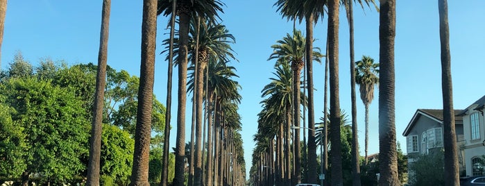 S. Palm Drive is one of America.