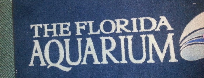 The Florida Aquarium is one of Tampa Florida area must do's.