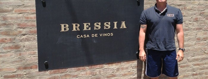 Bodega Bressia is one of Mendoza: Bodegas y Viñedos.