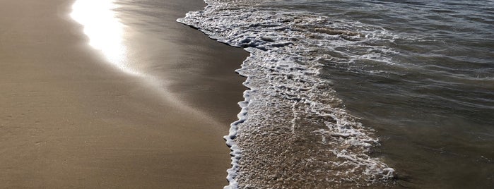 Balmoral Beach is one of Mat: сохраненные места.